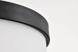 Flush Mount Nuvo 60-8054 Roselle - 15 Inch Flush Mount - Matte Black with White Glass Nuvo
