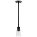 Mini Pendant Nuvo 60-8064 Clarksville - 5 Inch Mini Pendant - Matte Black with Clear Glass Nuvo
