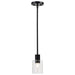 Mini Pendant Nuvo 60-8064 Clarksville - 5 Inch Mini Pendant - Matte Black with Clear Glass Nuvo