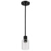 Mini Pendant Nuvo 60-8064 Clarksville - 5 Inch Mini Pendant - Matte Black with Clear Glass Nuvo