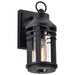 Wall Lantern Nuvo 60-8101 Wilton - 1 Light Small Wall Lantern - Matte Black with Clear Seeded Glass Nuvo
