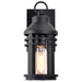 Wall Lantern Nuvo 60-8101 Wilton - 1 Light Small Wall Lantern - Matte Black with Clear Seeded Glass Nuvo