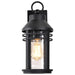 Wall Lantern Nuvo 60-8102 Wilton - 1 Light Medium Wall Lantern - Matte Black with Clear Seeded Glass Nuvo