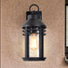 Wall Lantern Nuvo 60-8102 Wilton - 1 Light Medium Wall Lantern - Matte Black with Clear Seeded Glass Nuvo