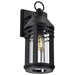 Wall Lantern Nuvo 60-8103 Wilton - 1 Light Large Wall Lantern - Matte Black with Clear Seeded Glass Nuvo