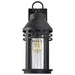 Wall Lantern Nuvo 60-8103 Wilton - 1 Light Large Wall Lantern - Matte Black with Clear Seeded Glass Nuvo