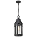 Hanging Lantern Nuvo 60-8104 Wilton - 1 Light Hanging Lantern - Matte Black with Clear Seeded Glass Nuvo