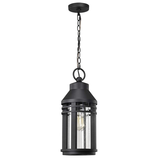 Hanging Lantern Nuvo 60-8104 Wilton - 1 Light Hanging Lantern - Matte Black with Clear Seeded Glass Nuvo
