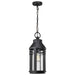 Hanging Lantern Nuvo 60-8104 Wilton - 1 Light Hanging Lantern - Matte Black with Clear Seeded Glass Nuvo