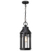 Hanging Lantern Nuvo 60-8104 Wilton - 1 Light Hanging Lantern - Matte Black with Clear Seeded Glass Nuvo