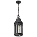 Hanging Lantern Nuvo 60-8104 Wilton - 1 Light Hanging Lantern - Matte Black with Clear Seeded Glass Nuvo