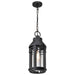 Hanging Lantern Nuvo 60-8104 Wilton - 1 Light Hanging Lantern - Matte Black with Clear Seeded Glass Nuvo