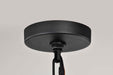 Hanging Lantern Nuvo 60-8104 Wilton - 1 Light Hanging Lantern - Matte Black with Clear Seeded Glass Nuvo