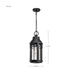 Hanging Lantern Nuvo 60-8104 Wilton - 1 Light Hanging Lantern - Matte Black with Clear Seeded Glass Nuvo