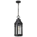 Hanging Lantern Nuvo 60-8104 Wilton - 1 Light Hanging Lantern - Matte Black with Clear Seeded Glass Nuvo