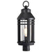Post Top Nuvo 60-8105 Wilton - 1 Light Post Top - Matte Black with Clear Seeded Glass Nuvo