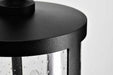 Wall Lantern Nuvo 60-8113 Broadstone - 2 Light Large Wall Lantern - Matte Black with Clear Seeded Glass Nuvo