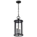 Hanging Lantern Nuvo 60-8115 Broadstone - 2 Light Hanging Lantern - Matte Black with Clear Seeded Glass Nuvo