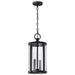 Hanging Lantern Nuvo 60-8115 Broadstone - 2 Light Hanging Lantern - Matte Black with Clear Seeded Glass Nuvo