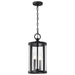 Hanging Lantern Nuvo 60-8115 Broadstone - 2 Light Hanging Lantern - Matte Black with Clear Seeded Glass Nuvo