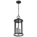 Hanging Lantern Nuvo 60-8115 Broadstone - 2 Light Hanging Lantern - Matte Black with Clear Seeded Glass Nuvo