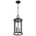 Hanging Lantern Nuvo 60-8115 Broadstone - 2 Light Hanging Lantern - Matte Black with Clear Seeded Glass Nuvo