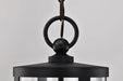 Hanging Lantern Nuvo 60-8115 Broadstone - 2 Light Hanging Lantern - Matte Black with Clear Seeded Glass Nuvo