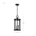 Hanging Lantern Nuvo 60-8115 Broadstone - 2 Light Hanging Lantern - Matte Black with Clear Seeded Glass Nuvo