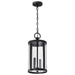 Hanging Lantern Nuvo 60-8115 Broadstone - 2 Light Hanging Lantern - Matte Black with Clear Seeded Glass Nuvo