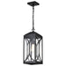 Hanging Lantern Nuvo 60-8125 Oaklyn - 1 Light Hanging Lantern - Matte Black with Clear Glass Nuvo
