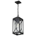 Hanging Lantern Nuvo 60-8125 Oaklyn - 1 Light Hanging Lantern - Matte Black with Clear Glass Nuvo