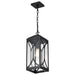 Hanging Lantern Nuvo 60-8125 Oaklyn - 1 Light Hanging Lantern - Matte Black with Clear Glass Nuvo