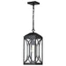 Hanging Lantern Nuvo 60-8125 Oaklyn - 1 Light Hanging Lantern - Matte Black with Clear Glass Nuvo