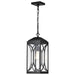 Hanging Lantern Nuvo 60-8125 Oaklyn - 1 Light Hanging Lantern - Matte Black with Clear Glass Nuvo