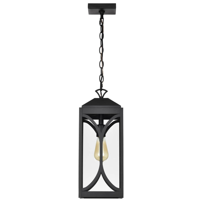 Hanging Lantern Nuvo 60-8125 Oaklyn - 1 Light Hanging Lantern - Matte Black with Clear Glass Nuvo