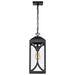 Hanging Lantern Nuvo 60-8125 Oaklyn - 1 Light Hanging Lantern - Matte Black with Clear Glass Nuvo