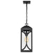 Hanging Lantern Nuvo 60-8125 Oaklyn - 1 Light Hanging Lantern - Matte Black with Clear Glass Nuvo