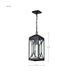 Hanging Lantern Nuvo 60-8125 Oaklyn - 1 Light Hanging Lantern - Matte Black with Clear Glass Nuvo