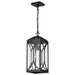 Hanging Lantern Nuvo 60-8125 Oaklyn - 1 Light Hanging Lantern - Matte Black with Clear Glass Nuvo