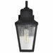 Wall Lantern Nuvo 60-8131 Lawrence - 1 Light Small Wall Lantern - Matte Black with Clear Seeded Glass Nuvo