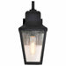Wall Lantern Nuvo 60-8131 Lawrence - 1 Light Small Wall Lantern - Matte Black with Clear Seeded Glass Nuvo