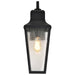 Wall Lantern Nuvo 60-8133 Lawrence - 1 Light Large Wall Lantern - Matte Black with Clear Seeded Glass Nuvo