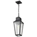Hanging Lantern Nuvo 60-8135 Lawrence - 1 Light Hanging Lantern - Matte Black with Clear Seeded Glass Nuvo