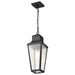 Hanging Lantern Nuvo 60-8135 Lawrence - 1 Light Hanging Lantern - Matte Black with Clear Seeded Glass Nuvo