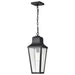 Hanging Lantern Nuvo 60-8135 Lawrence - 1 Light Hanging Lantern - Matte Black with Clear Seeded Glass Nuvo