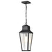 Hanging Lantern Nuvo 60-8135 Lawrence - 1 Light Hanging Lantern - Matte Black with Clear Seeded Glass Nuvo
