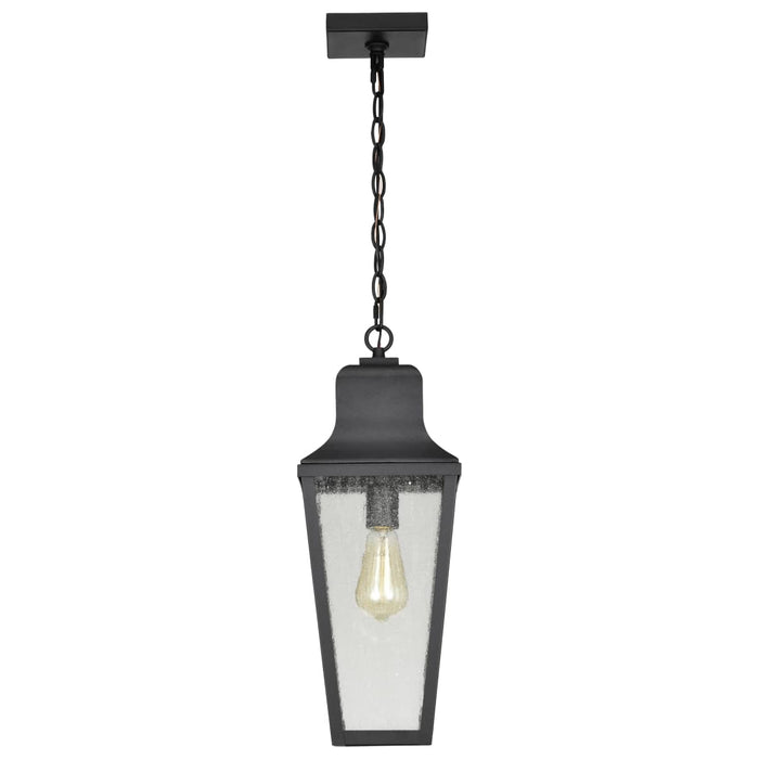 Hanging Lantern Nuvo 60-8135 Lawrence - 1 Light Hanging Lantern - Matte Black with Clear Seeded Glass Nuvo