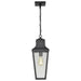 Hanging Lantern Nuvo 60-8135 Lawrence - 1 Light Hanging Lantern - Matte Black with Clear Seeded Glass Nuvo