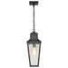 Hanging Lantern Nuvo 60-8135 Lawrence - 1 Light Hanging Lantern - Matte Black with Clear Seeded Glass Nuvo