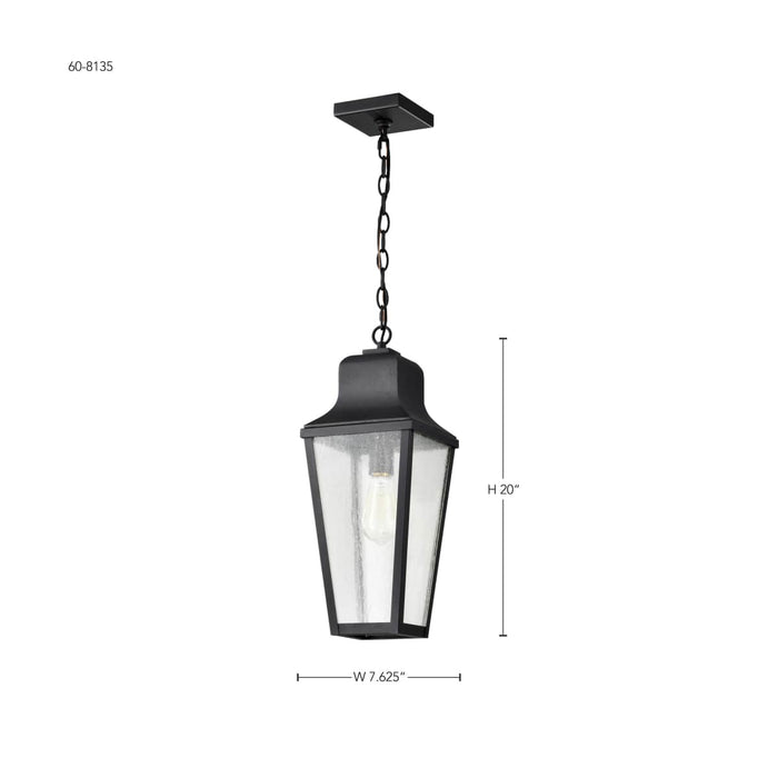 Hanging Lantern Nuvo 60-8135 Lawrence - 1 Light Hanging Lantern - Matte Black with Clear Seeded Glass Nuvo